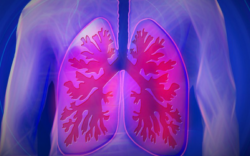 Astma en de longen
